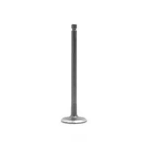 Engine Intake Valve-SOHC, 12 Valves DNJ IV121 - Picture 1 of 6