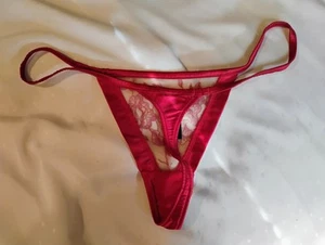 Elle MacPherson Thong Red Sheer New Lace Just Beautiful! Large - Picture 1 of 9
