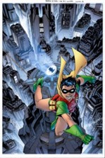 ROBIN, THE BOY WONDER: A CELEBRATION OF 75 YEARS By Bill Finger - Hardcover NEW