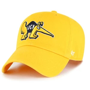 UC Irvine Anteaters 47 Brand Clean Up Adjustable Hat - Gold - Picture 1 of 1