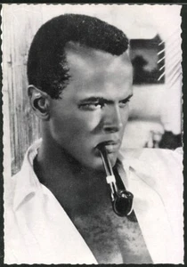 HARRY BELAFONTE Film Star Portrait Photo Postcard; Publ. Centfox No. 215; Mint - Bild 1 von 2