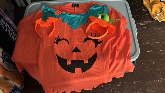 pumpkins costume size xl - Image 1 of 1