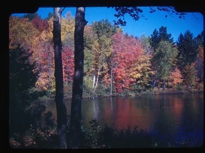 Red Boarder Vibrant Autumn Foliage Reflected in Still Water - Picture 1 of 2