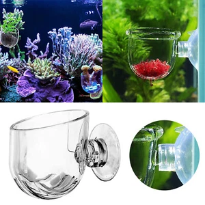 Transparent Acrylic Aquatic Pot Aquarium Aquatic Planter Holder With Suction - Picture 1 of 7