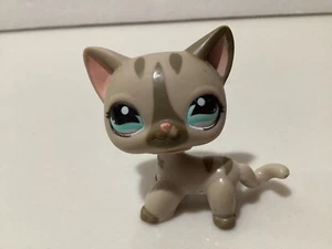 Littlest Pet Shop LPS #2192 Lhasa Apso helllila Hund - Bild 1 von 5