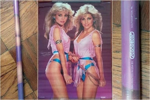 Poster ORIGINALE 1984 Candi & Randi anni 80 pinup modelli gemelli 20,5x28 NOS sigillato - Foto 1 di 4
