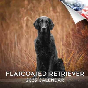 FLATCOATED RETRIEVER Wandkalender 2025 Tier HUND HAUSTIER Liebhaber Geschenk - Bild 1 von 2