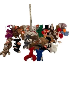 ️Beanie Babys verschiedene Menge 36⭐️ - Bild 1 von 10