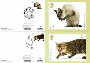 Gatos PHQ 502 (8). Cada uno con una cancelación diferente. - Imagen 1 de 4