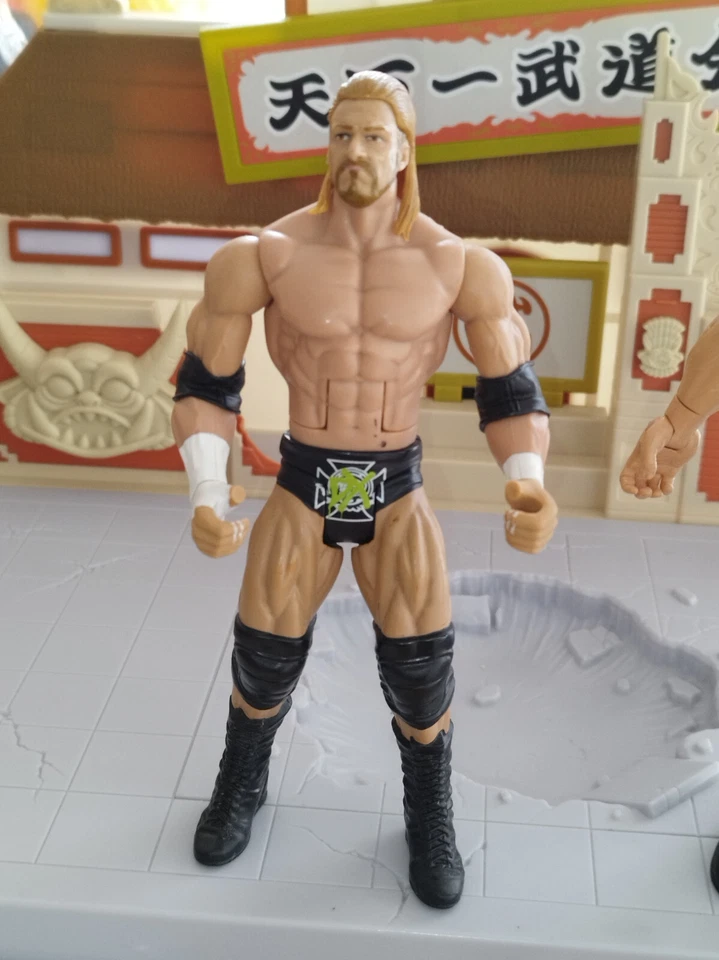 Figurine Mattel Triple H DX 2010 Wrestling action Figure catch wwe HHH - Photo 1/1