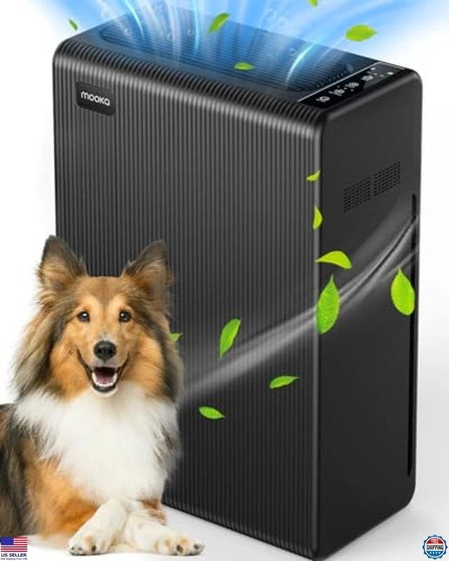 Purificador de aire para habitaciones grandes de hasta 2000 pies², filtro HEPA H13, portátil, negro Foto 1 de 4