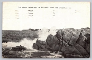 Vintage Lithographie Postkarte Ältester Bewohner Rockport MA Küstenszene - Bild 1 von 2
