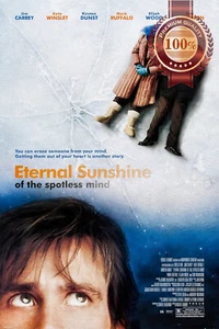ETERNAL SUNSHINE OF A SPOTLESS MIND 2004 THE ORIGINAL MOVIE PRINT PREMIUM POSTER - Picture 1 of 6