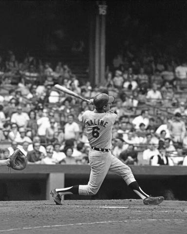 Detroit Tigers AL KALINE Glossy 8x10 Photo Baseball Print Poster HOF 80 Cover