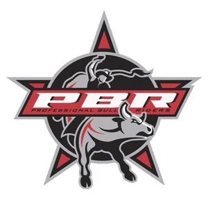 PBR # 10 - 8 x 10 - T Shirt Iron On Transfer - Picture 1 of 1