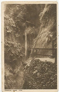 Shanklin Chine, Isle of Wight - Picture 1 of 1