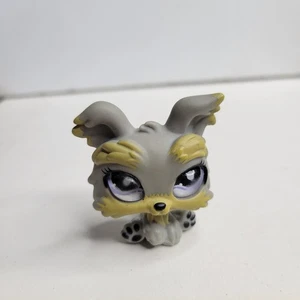 Littlest Pet Shop LPS 883 cane cucciolo Yorkie realistico con occhi di vetro viola - Foto 1 di 4