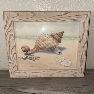 Barbara Fleri Signed/Framed Print Wall Art Seashells  12" x 10.5" - Picture 1 of 3