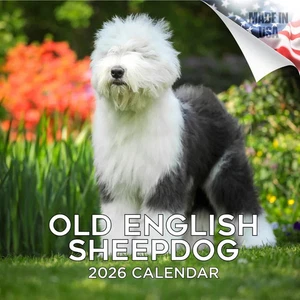 ALTER ENGLISCHER SCHÄFERHUND Wandkalender 2026 Tier HUND HAUSTIER Liebhaber Geschenk - Bild 1 von 2