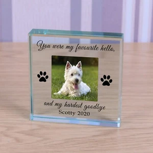 Favourite Hello - Personalised Pet Dog Cat Photo Glass Block Ornament Gift 9cm - Picture 1 of 2