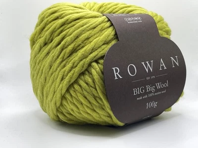 Rowan Big Big Wool 215 verde carnaval súper voluminoso 100 % lana merino 100 gr 44yds Foto 1 de 4