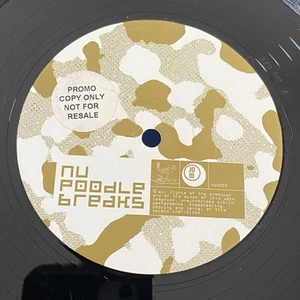 The Buzzard Necks – Violation 12” Vinyl Record - Foto 1 di 2