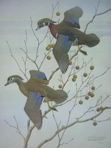 William Zimmerman Wood Duck Signed Lt Ed Wildlife Art Print New Hunting Cabin - Picture 1 of 1