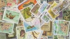 Motivazioni Francobolli 25 diversi Anfibi Francobolli