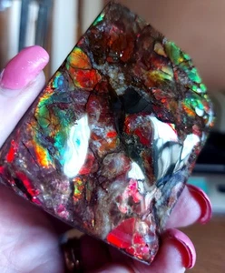 Ammolite Ammonite tabletop Display 69x54.5x16.5mm #13541 - Picture 1 of 5