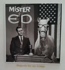 VINTAGE 1960's MISTER ED TV SERIES FRIDGE MAGNET - M181 - Imagen 1 de 1