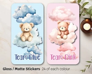 Baby Shower gender reveal Boho Teddy bear Gift Stickers Team Pink Blue 03 R - Picture 1 of 3