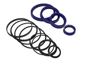 Seal Kit for Clark 2355405 - Hydraulic Cylinder - Lift - Picture 1 of 3