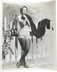Vera Miles 1950s Busty Leggy Barefoot Pin Up Vintage 8x10 Photo - Bild 1 von 3