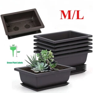 S/M/L Plastic Bonsai Training Pot and Tray Plant Label Bonsai Planting Pots AU - Picture 1 of 15