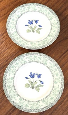 Platos de almuerzo ensalada postre Johnson Bros lavavajillas congelador apto para microondas Foto 1 de 4