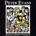 Flamenco Guitar 2 -Peter Evans CD