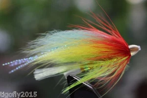 24 pcs Yellow&Green Cone Head Tube Flies Salmon And Sea Trout Fly Fishing Lures - Imagen 1 de 6