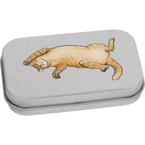 'Chubby Ginger Cat' Metal Hinged Tin / Storage Box (TT030101)