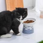 Cat Dog Bowl Container Ceramic Feeding Dish Pet Supplies