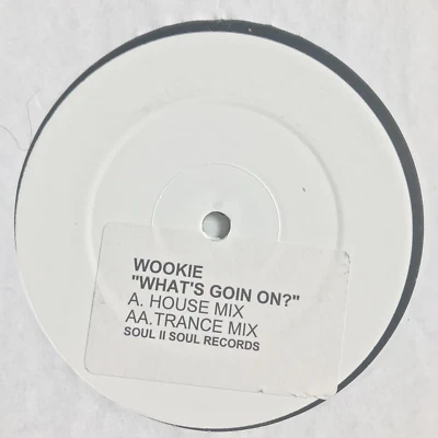 Wookie – What's Going On ? House and Trance Mixes White Label Promo Vinyl *DL - Image 1 of 4