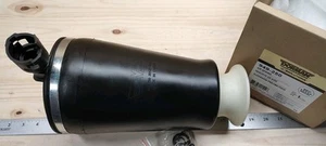 NEW Dorman 949-250 Air Suspension Spring Rear-Left/Right - Picture 1 of 5