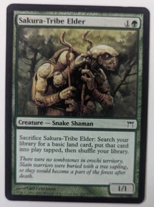 Sakura-Tribe Elder, Champions of Kamigawa, Magic The Gathering, MTG - Picture 1 of 2