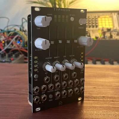 Typhoon / Mutable Instruments Eurorack Module / Clouds Clone / Black Panel - Bild 1 von 4