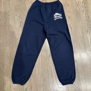 Vintage Y2K Hanes Navy Panthers Sweatpants Youth Large 14-16 - Picture 1 of 4