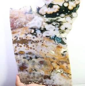 13,38" Natürlicher Ozean Jaspis Achat Auge Quarz Kristall Scheibe Display Exemplar - Bild 1 von 11