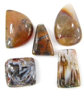 Lot de 5 pièces cabochon bâton naturel agate 17-24 mm pierres précieuses lâches 68,15 ct - 63174 - Photo 1/5
