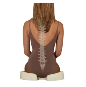 Deluxe Comfort Coccyx Orthopedic Memory Foam – Sciatica Relief Tailbone Support - Picture 1 of 4