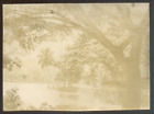 Ceylan (Sri Lanka) Nuwara Eliya, Le Lac, Vintage Citrate Print 1900 - 8X11 Cm