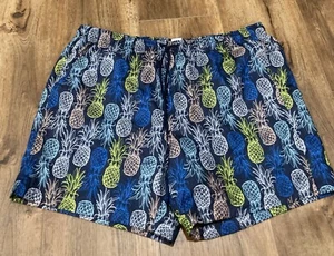 New DSG Shorts Men's 2XL, Blue, multicolor Pineapples, $30 - Picture 1 of 7