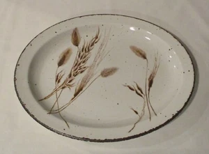 12" Ovale Servierplatte Midwinter Stonehenge Wild Hafer Braun Punkte Borte England - Bild 1 von 3